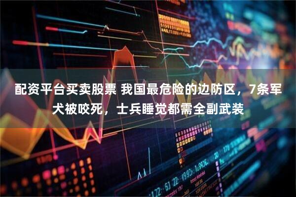 配资平台买卖股票 我国最危险的边防区，7条军犬被咬死，士兵睡觉都需全副武装